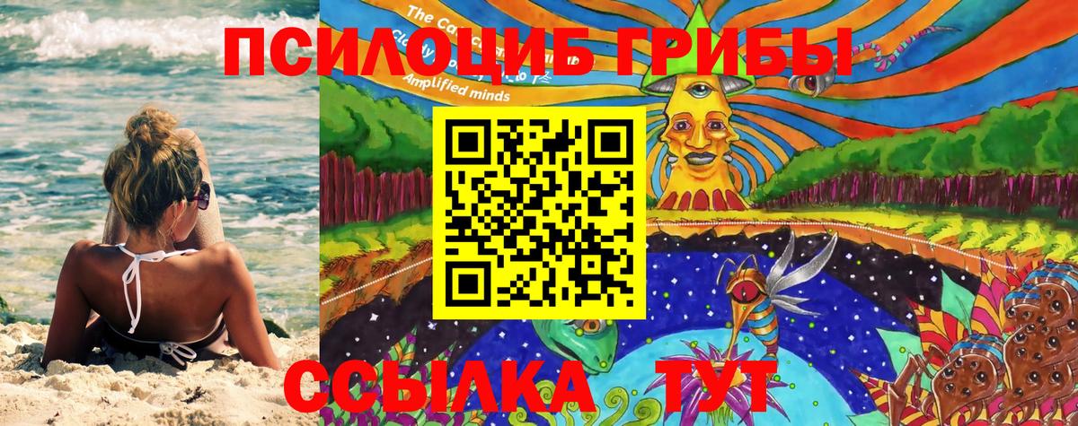 Галлюциногенные грибы MAGIC MUSHROOMS  Моздок  Псилоцибиновые грибы ЛСД 