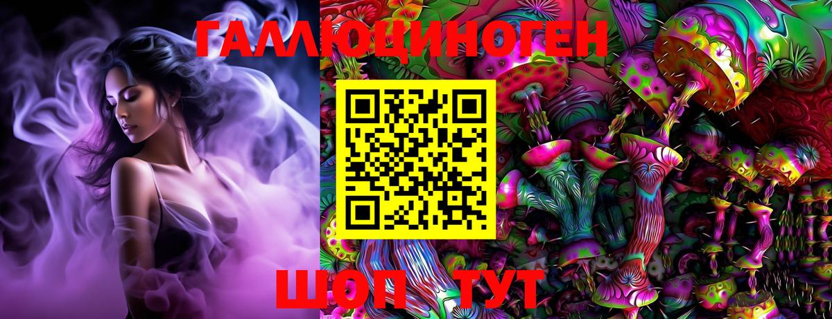 Моздок  Галлюциногенные грибы Cubensis  Вход с VPN 