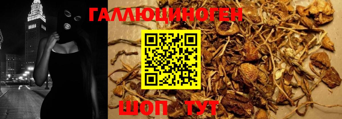 Псилоцибиновые грибы прущие грибы Моздок